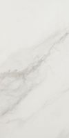 EC Snow Polished 12 x 24